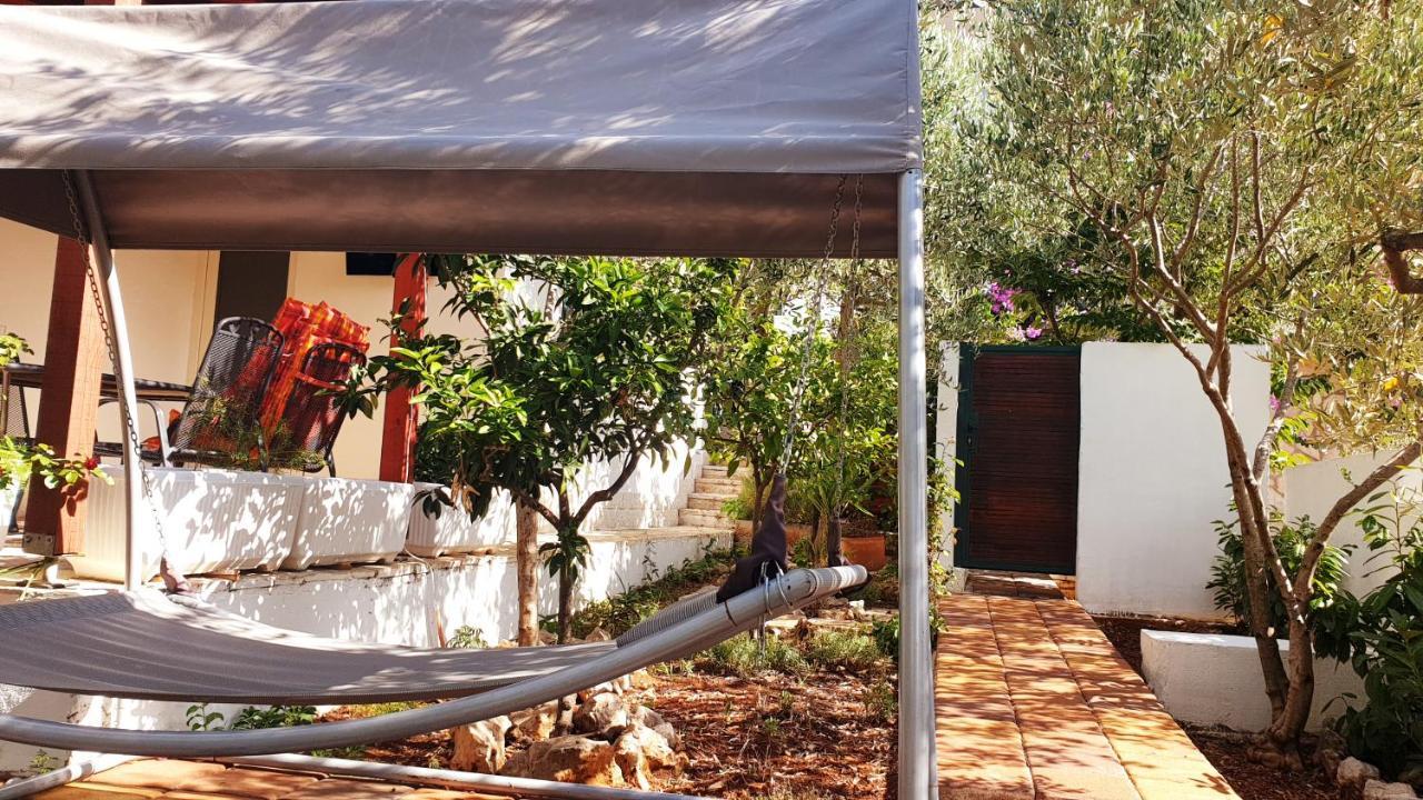 House Oliva With Private Pool And Large Garden Villa Stari Grad  Ngoại thất bức ảnh